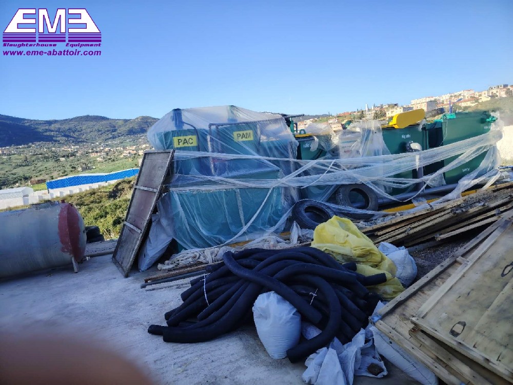 Professional assistance across the ocean: Our engineers successfully guided the installation and commissioning of Algerian chicken slaughtering and cold storage equipment