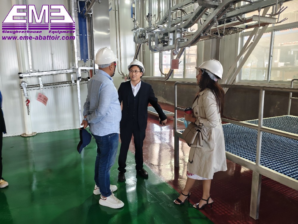 Win-win cooperation: Tanzanian customers inspect pig slaughtering and sausage processing solutions